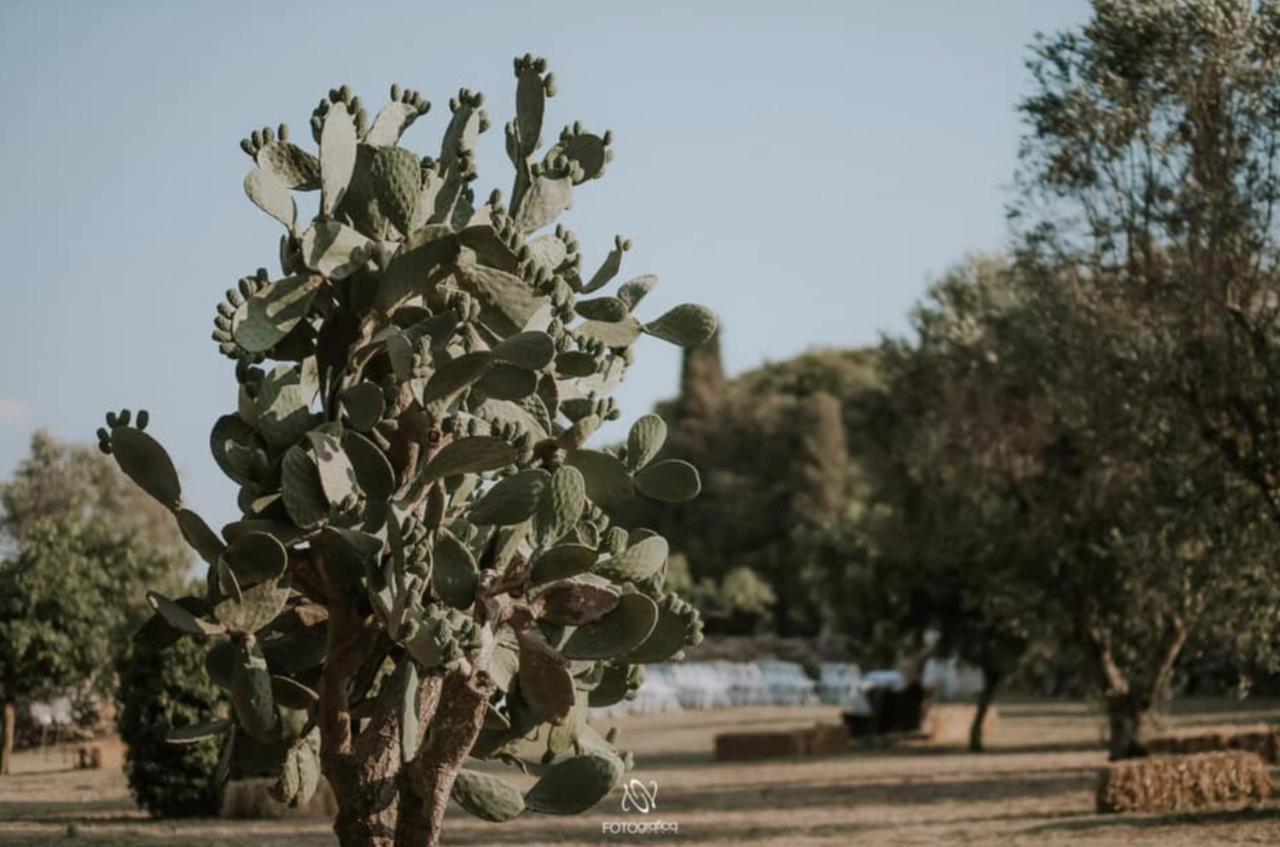 Casale Sombrino Guest House Supersano Bagian luar foto