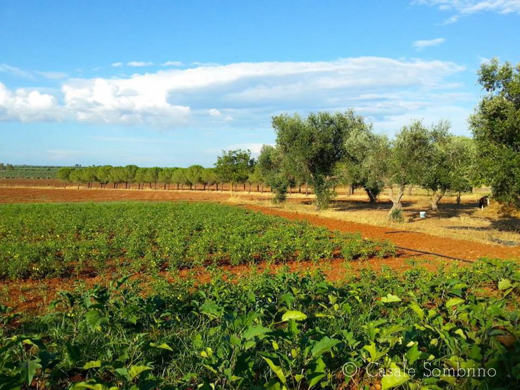 Casale Sombrino Guest House Supersano Bagian luar foto