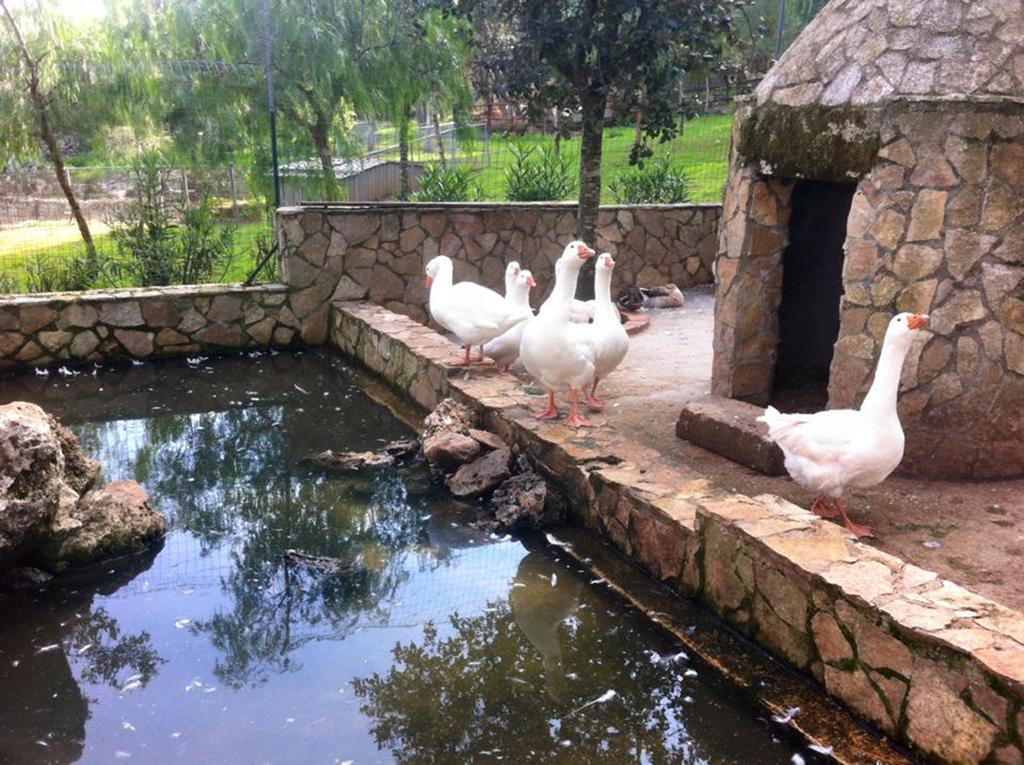 Casale Sombrino Guest House Supersano Bagian luar foto