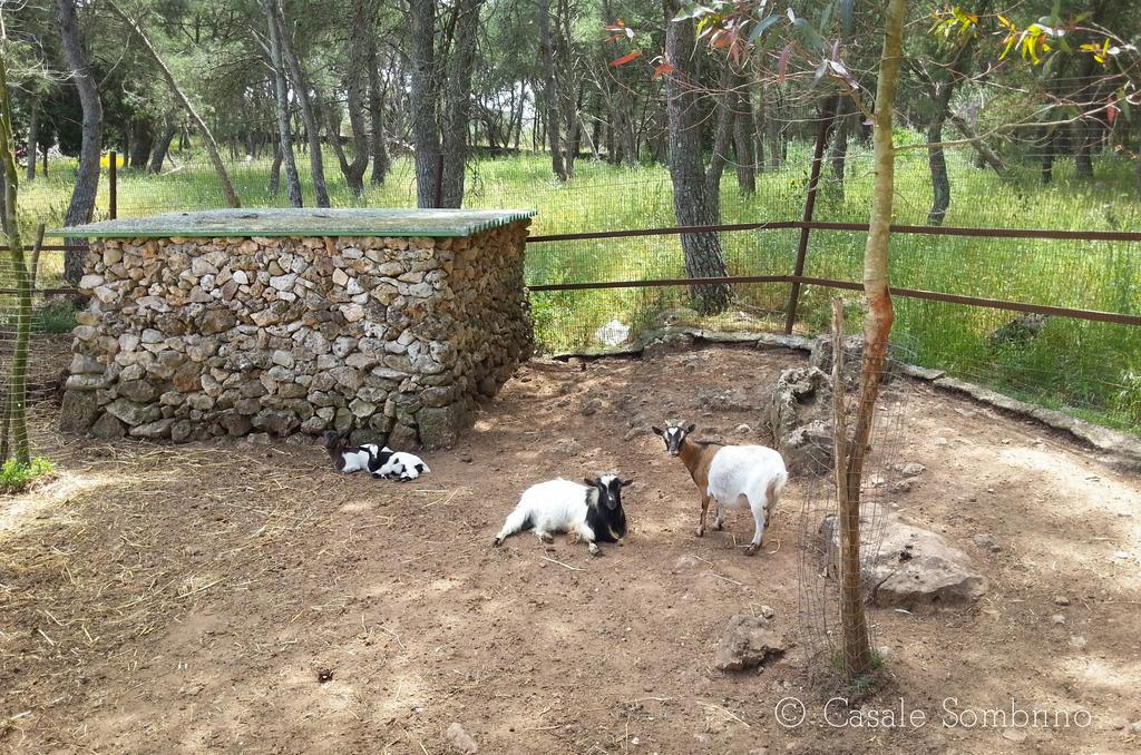 Casale Sombrino Guest House Supersano Bagian luar foto